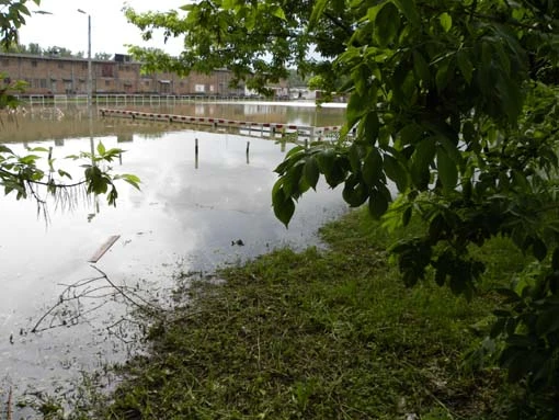 minh hoa thong bao.jpg - 60.89 Kb