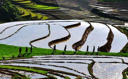 Ngắm Sapa trong vụ cấy mới ảnh 10 Ngắm Sapa trong vụ cấy mới ảnh 10