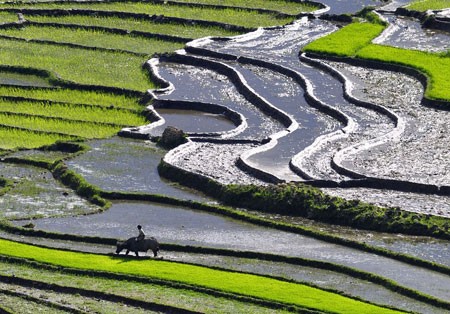 Ngắm Sapa trong vụ cấy mới ảnh 1 Ngắm Sapa trong vụ cấy mới ảnh 1