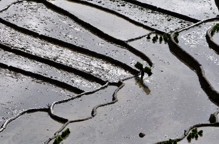 Ngắm Sapa trong vụ cấy mới ảnh 2