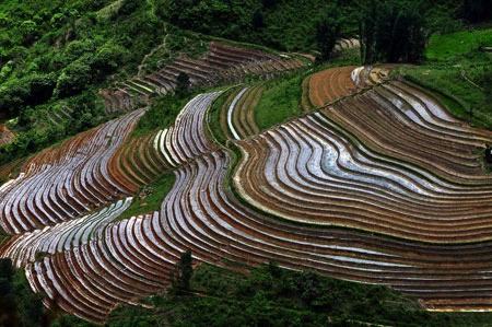 Ngắm Sapa trong vụ cấy mới ảnh 3