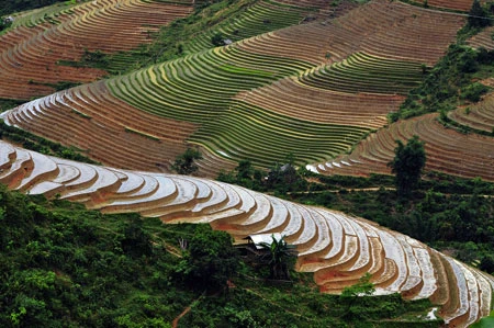 Ngắm Sapa trong vụ cấy mới ảnh 4