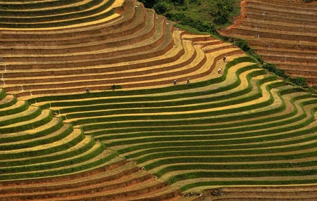 Ngắm Sapa trong vụ cấy mới ảnh 5