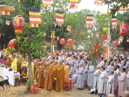 dinhquan_06.JPG