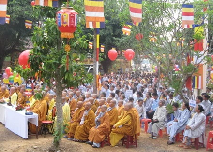 dinhquan_08.JPG