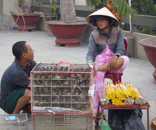 Đông đảo người dân thực hiện nghi lễ tắm Phật Phật tử, người dân cúng bái, cầu may tại chùa Vĩnh Nghiêm Nhiều phụ huynh đưa con em, cũng như các bạn trẻ đến chùa để cúng viếng Lòng thành kính trước cửa Phật Phóng sinh... Các đoàn thể, cá nhân gửi lẵng hoa mừng Đại lễ Phật đản 2010 Không khí diễn ra trang nghiêm, trật tự, nhưng vẫn còn một số ít người bán hàng chèo kéo khách mua đồ. Người dân Sài Gòn mừng Đại lễ Phật đản
