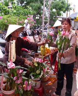 Đông đảo người dân thực hiện nghi lễ tắm Phật Phật tử, người dân cúng bái, cầu may tại chùa Vĩnh Nghiêm Nhiều phụ huynh đưa con em, cũng như các bạn trẻ đến chùa để cúng viếng Lòng thành kính trước cửa Phật Phóng sinh... Các đoàn thể, cá nhân gửi lẵng hoa mừng Đại lễ Phật đản 2010 Không khí diễn ra trang nghiêm, trật tự, nhưng vẫn còn một số ít người bán hàng chèo kéo khách mua đồ. Người dân Sài Gòn mừng Đại lễ Phật đản