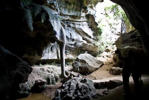 Tượng đá hình voi trong hang Vang