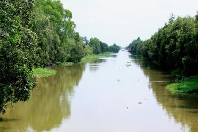 'Mùa xanh' trên Đồng Tháp Mười ảnh 4 'Mùa xanh' trên Đồng Tháp Mười ảnh 4