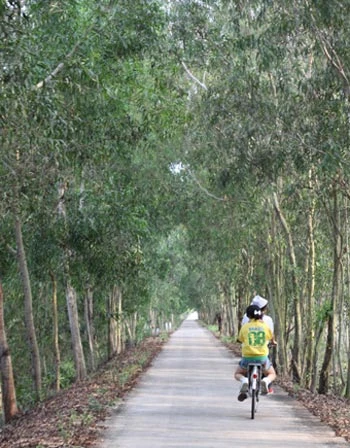 "Mùa xanh" trên Đồng Tháp Mười ảnh 5