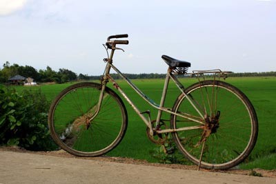 'Mùa xanh' trên Đồng Tháp Mười ảnh 8 'Mùa xanh' trên Đồng Tháp Mười ảnh 8