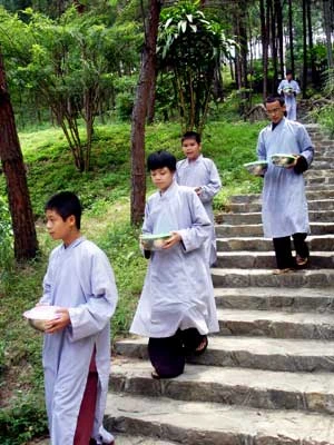 Sinh viên rủ nhau lên chùa đi... 'tu' ảnh 3