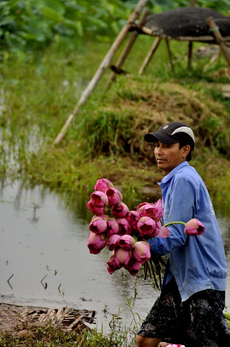 Teen Hà Nội duyên dáng giữa mùa hoa sen