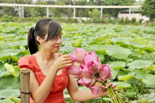 Teen Hà Nội duyên dáng giữa mùa hoa sen