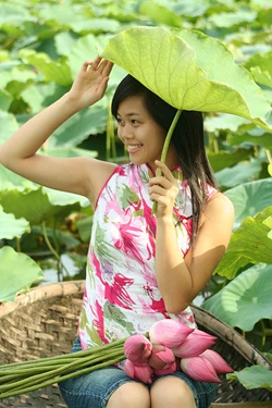 Teen Hà Nội duyên dáng giữa mùa hoa sen