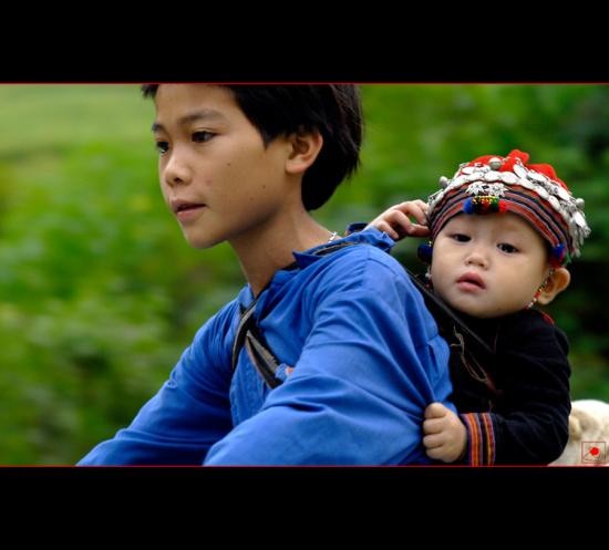 Hương sắc trà Việt ảnh 9