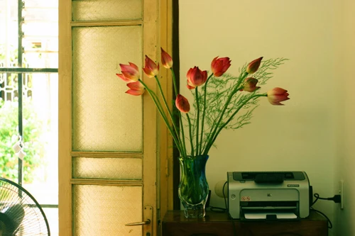 Thanh cao mùa sen Hà Thành ảnh 16