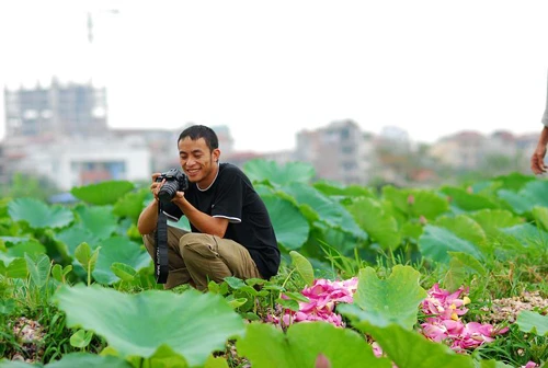 Thanh cao mùa sen Hà Thành ảnh 8