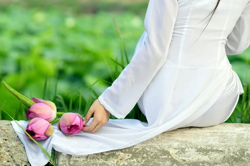 Thanh cao mùa sen Hà Thành ảnh 1