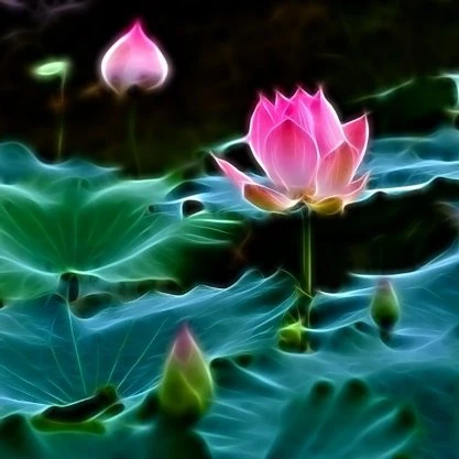 Hội thảo tìm "Quốc hoa" ảnh 2 Hội thảo tìm "Quốc hoa" ảnh 2