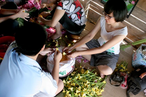 Người ướp trà cũng đến rất sớm. Họ loại bỏ những cánh hoa, lấy phần nhụy, còn gọi là gạo sen để dành ướp. Trà sen là đặc sản của Hà Nội.
