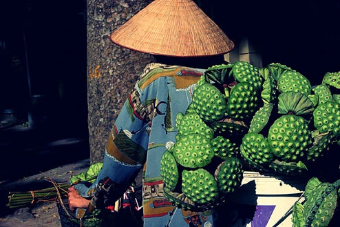 Đài sen, một loại quà từ hoa sen, cũng xuống phố.