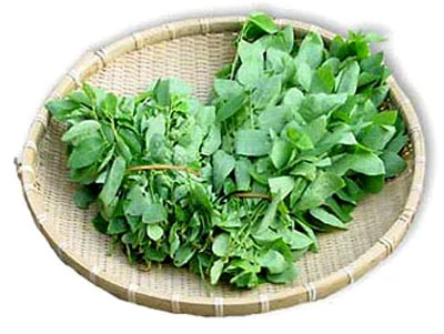 Chữa nhiệt miệng mùa nắng nóng ảnh 3