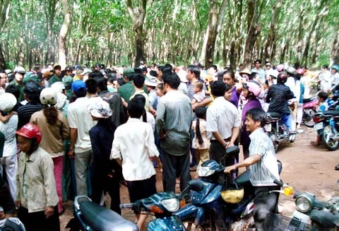 Hàng ngìn người dân hiếu kỳ đổ xô đến xem, các dịch vụ ăn theo, và cúng bái gây náo loạn cả khu vực.