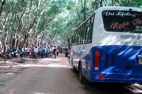 Dòng xe ôtô từ TP HCM và các tỉnh thành cũng kéo về xem, cúng bái.