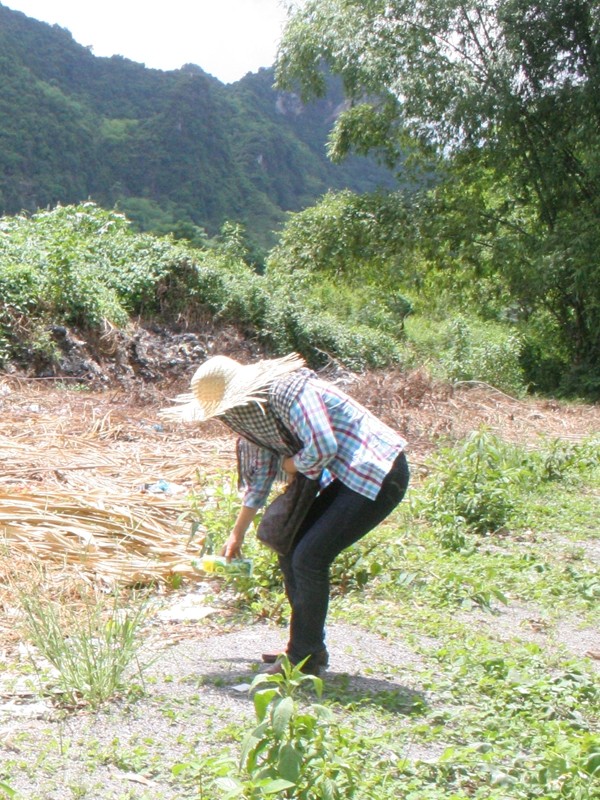 Rác được chôn lấp sơ sài. Ảnh: Trần Thanh. Rác được chôn lấp sơ sài. Ảnh: Trần Thanh