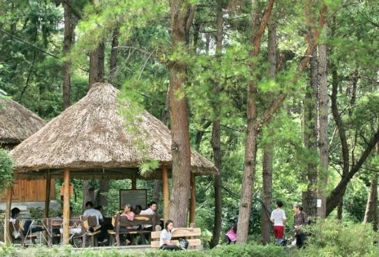 Tây Thiên thiền viện ảnh 10