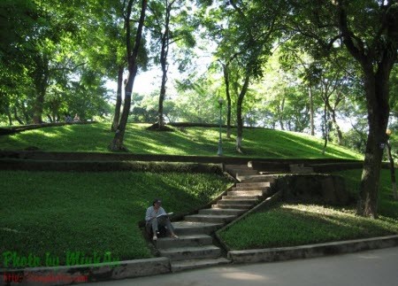 Núi Sưa trong Công viên Bách Thảo. Núi Sưa trong Công viên Bách Thảo.