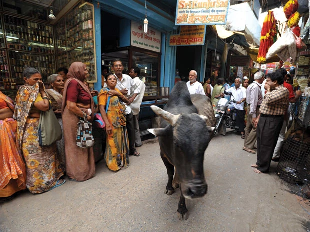 Ký sự đường xa »» Lang thang qua miền Phật tích » Kỳ 3: Varanasi,cổ thành ngàn năm ảnh 2