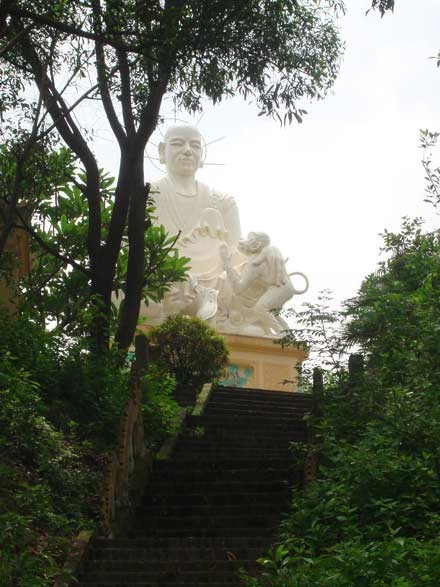 daophat-1.jpg