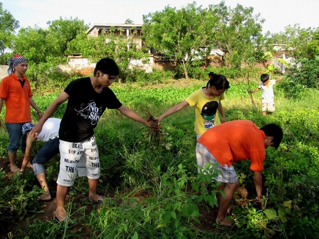 Nhiều bạn sinh viên lần đầu tiên mới biết cây lạc Hè này "đi tu" ảnh 3