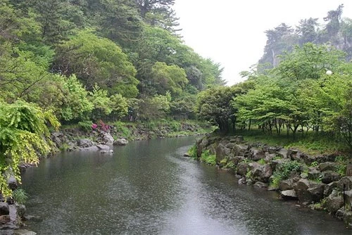 Seoul - Jeju quyến rũ mùa thu