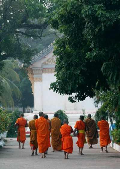 Thoang bong ca sa Luangprabang