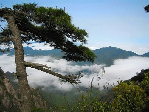 1. Hoàng Sơn là dãy núi phía nam tỉnh An Hui, miền Đông Trung Quốc. Từng xuất hiện nhiều trong các bức họa cũng như văn học, Hoàng Sơn có thắng cảnh đẹp tuyệt diệu, là nơi lý tưởng ngắm mặt trời mọc. Du khách có thể dễ dàng tới thăm Di sản thiên nhiên thế giới này bằng đường xe lửa và hàng không từ Thượng Hải, Hàng Châu và Vu Hồ. Một núi đá của Hoàng Sơn. Cây thông xanh tốt quanh năm. 2. Núi Vũ Di (tỉnh Phúc Kiến) trải rộng trên diện tích 60 m2, được UNESCO công nhận Di sản văn hóa và thiên nhiên thế giới năm 1999. Đây là nơi có khu bảo tồn đa dạng sinh học lớn nhất vùng đông nam Trung Quốc. Vũ Di là quê hương của nhiều loại trà quý hiếm như Đại Hồng bảo trà và Hồng trà. Vũ Di trong mây. Để tới núi Vũ Di, du khách phải đi thuyền trên sông Cửu Long, thăm động Loa văn thiên không có nơi chỉ rộng 30 cm. 3. Núi Tam Thanh nằm cách Ngọc Sơn, tỉnh Giang Tây 80 km về phía bắc, do ba ngọn Ngọc Tỉnh, Ngư Thủy và Vũ Hoa tạo thành. Tam Thanh được công nhân là Di sản thế giới năm 2008. Nơi đây rộng 2.200 km2, được coi là công viên quốc gia Trung Hoa, với hơn 1.000 loài thực vật và 800 ngoài động vật 4. Núi Thương Nham nổi tiếng vì vừa có núi rừng hùng vĩ, vừa có những công trình kiến trúc nhân tạo mang tính lịch sử. Núi cách thủ phủ Thạch Gia Trang của tỉnh Hà Bắc 50 km về phía tây nam, gần tỉnh Thiểm Tây. Thương Nham là một phần của Thái Hành Sơn, với đỉnh cao 1.000 m. Các công trình nhân tạo càng tôn thêm giá trị của Thương Nham. 5. Võ Đang chỉ là một ngọn núi nhỏ ở phía tây nam tỉnh Hà Bắc, nhưng lại là trung tâm Đạo giáo Trung Hoa trong nhiều thế kỷ. Những ngôi miếu của Đạo giáo trên núi Võ Đang. Những ngọn núi kỳ vĩ nhất Trung Hoa