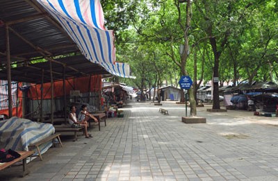 Chùa Hương mùa không trẩy hội ảnh 6 Chùa Hương mùa không trẩy hội ảnh 6