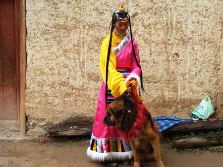 Shangrila - Đường chân trời đã mất - Tin180.com (Ảnh 5)