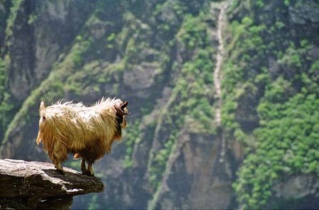 Shangrila - Đường chân trời đã mất - Tin180.com (Ảnh 9)