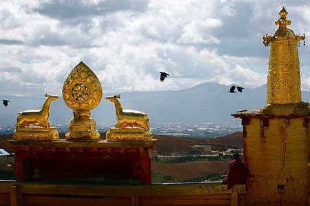 Shangrila - Đường chân trời đã mất - Tin180.com (Ảnh 13)