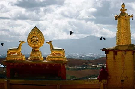 Shangrila - Đường chân trời đã mất - Tin180.com (Ảnh 13)