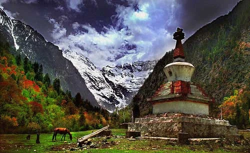 Shangrila - Đường chân trời đã mất - Tin180.com (Ảnh 15)