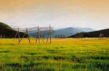 Shangrila - Đường chân trời đã mất - Tin180.com (Ảnh 16)