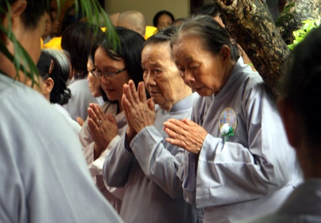 Hoa hồng trắng trên ngực, mẹ đã không còn.