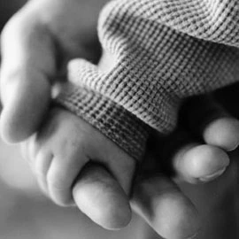 Ảnh: pda.vietbao.vn