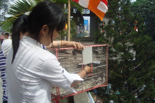 Người dân TP HCM tấp nập vào chùa trong lễ Vu Lan