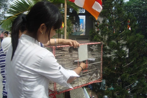 Người dân TP HCM tấp nập vào chùa trong lễ Vu Lan