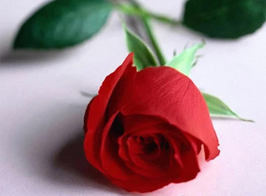 Lá thư xúc động của con gái gửi mẹ nhân ngày Vu Lan